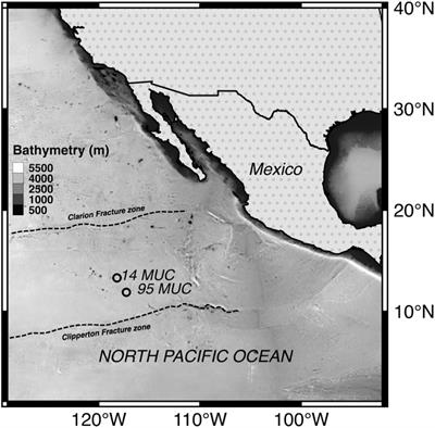 Heavy-Metal-Resistant Microorganisms in Deep-Sea Sediments Disturbed by Mining Activity: An Application Toward the Development of Experimental in vitro Systems